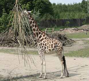 ZOOM Erlebniswelt Gelsenkirchen