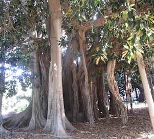 Park Giardino Garibaldi