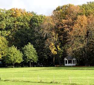 Herbstspaziergang durch den Bürgerpark Bremen