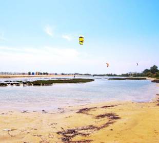 Strand Bibione 06_2011