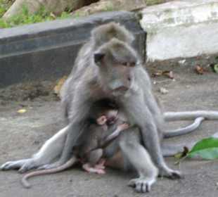 Familie mit Kleinkind