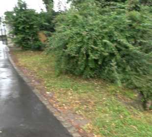 Friedhof Mönchberg
