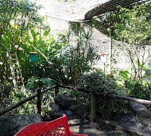 Die Voliere des Botanischen Gartens