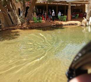 Jeep-Tour Ksar Ghilane