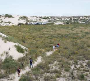 Naturetrail am Anfang des NM