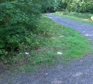 Wanderung Heslacher Wasserfälle und Heidenbrünnele