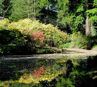 Wasserläufe durchziehen den Park