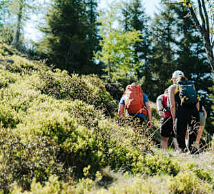 Wandern Ramsau am Dachstein