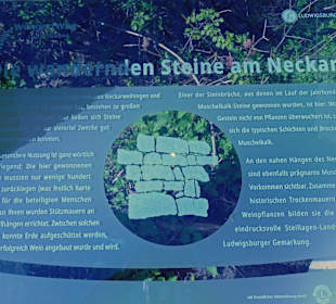 Eine Infotafel über die Steillagen-Weinberge