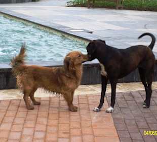 Auf der Uferpromenade unterwegs