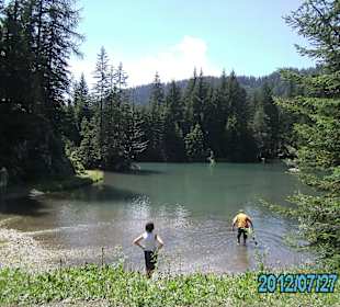 Almsee
