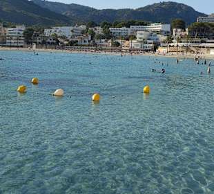 Strand Paguera/Peguera