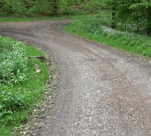 Wandertour Feuchtgebiet Schönbuch