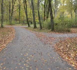 Waldfriedhof