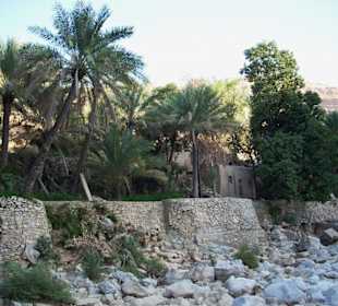 Wadi Bani Khalid