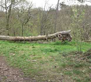 Wanderung rund um das Rusenschloss Gerhausen