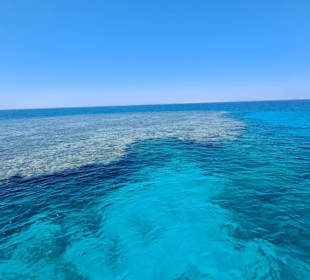 Susi in Ägypten - Ausflüge 