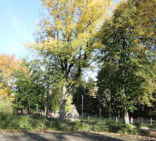 Blick in den Tierpark Wildgatter