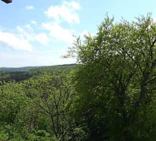 Burgruine Hohenringingen