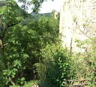 Burgruine Niederhaus