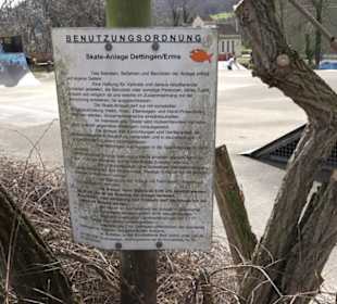 Skatepark Dettingen