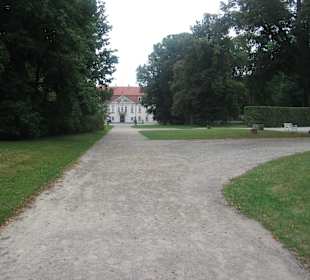 Park przy Pałacu w Nieborowie