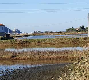 Naturschutzgebiet Strunjan