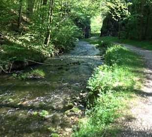 Premiumwanderweg Hochgehschätzt
