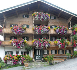 Eine Blumenpracht in der Nähe vom Eingang zum Tier