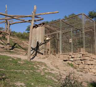 Thüringer Zoopark Erfurt 