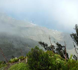 Lorbeerwald - Wanderung
