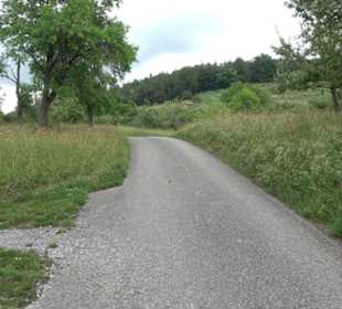 Wanderweg - Alter Steinbruch Pfaffenberg Runde