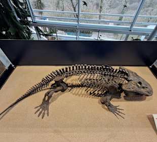 Geoskop in Thallichtenberg