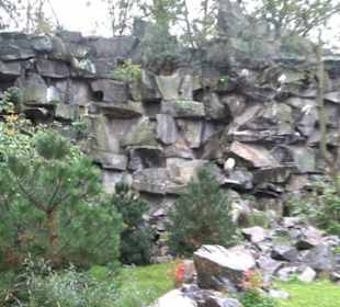 Tierpark
