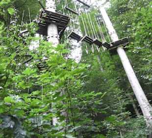 Natur-Hochseilgarten Triberg