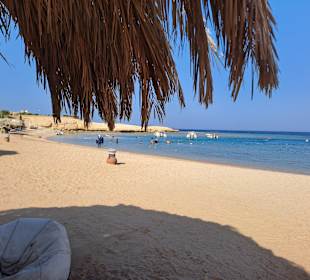 Schnorcheln im Naturschutzgebiet