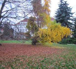 Mala Strana Vojanovy Sady