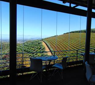 Weingut Tokara in Stellenbosch