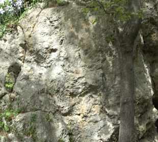 Wallersteiner Felsen