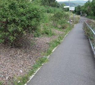 Schwetzinger Terrasse