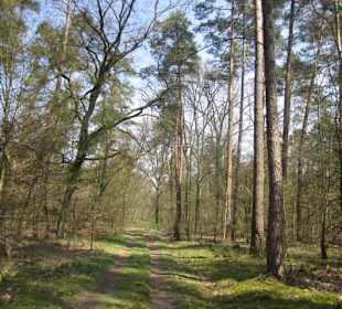 Bei der Lingenfelder Grotte