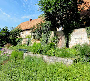 Parkfläche unter dem Bibelgarten