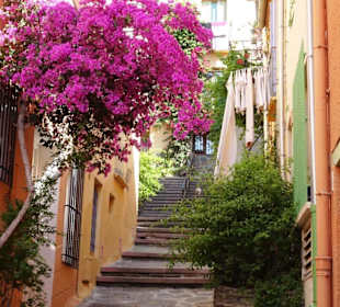 Spaziergang durch die Altstadt von Collioure