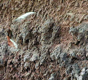 Timanfaya (Montanas del Fuego)