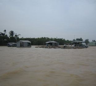 Garnelen-Fischzuchtbauer auf dem Mekong