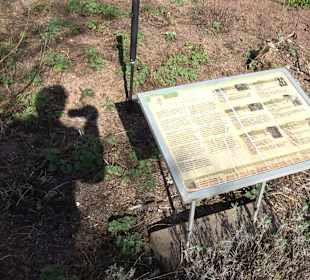 Apothekergarten Ettlingen