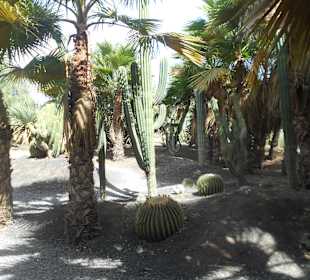 Botanischer Garten Viveiro