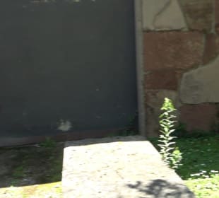 Aussegnungshalle Handschuhsheim