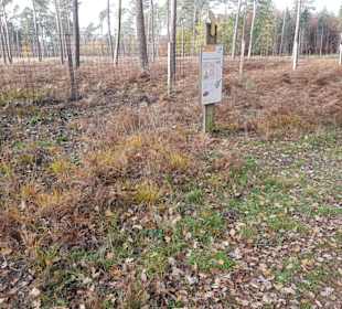 Den Hinweistafeln folgend