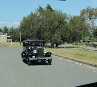 Mit dem Hop on Hop off Bus in der Region unterwegs